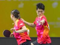 杏彩体育入口-东莞新丁崭露头角，助球队一举击溃对手的简单介绍