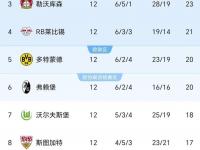 杏彩体育入口-莱比锡红牛力克对手，继续领跑德国联赛