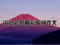 杏彩体育入口-肆意挥洒，激情四射的运动盛宴令人陶醉的简单介绍
