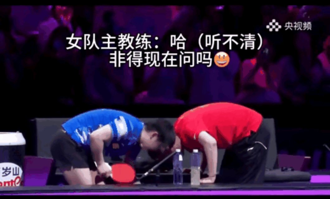 精彩比赛引发球迷热议，欢乐如潮