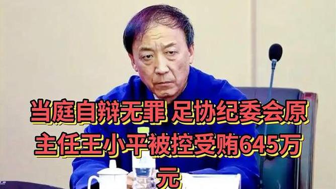 足协原纪律委员会主任王小平一审获刑10年6个月+罚金70万