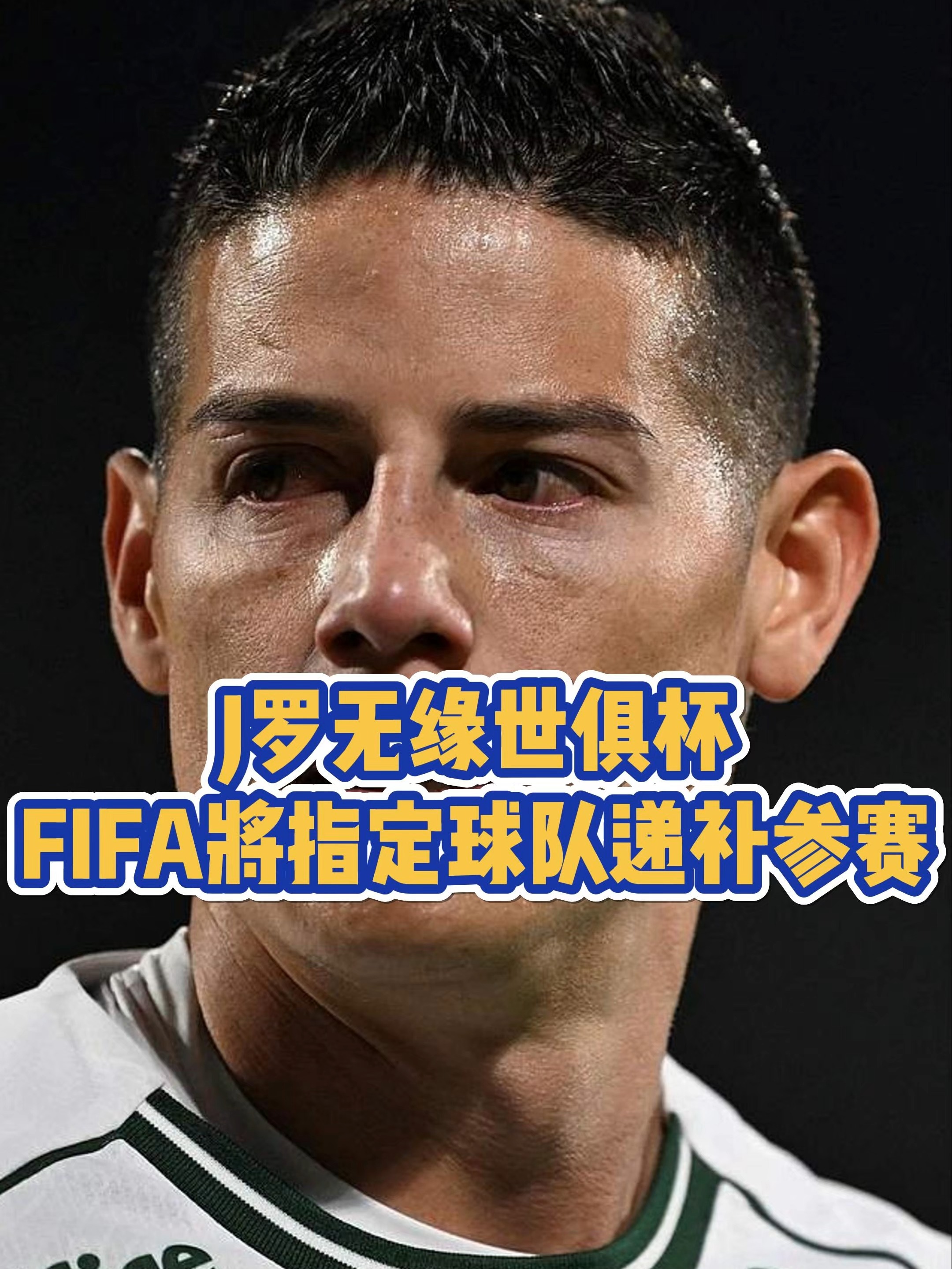 关于官方巴西足协已向FIFA递交举办2029年世俱杯的申请的信息